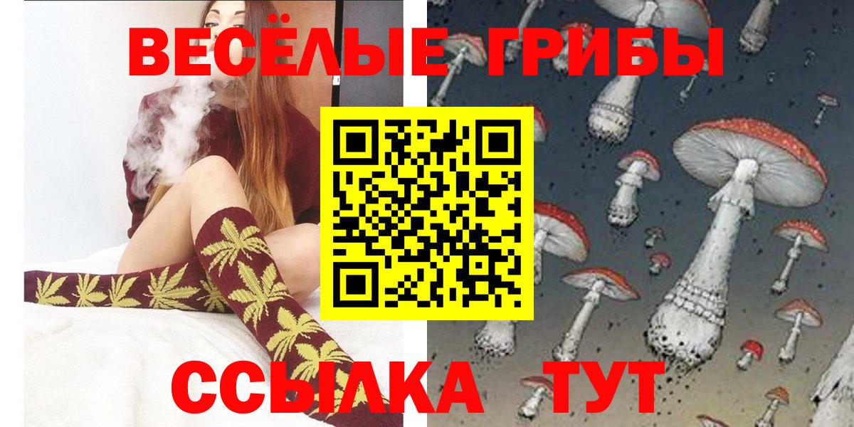 Псилоцибиновые грибы Psilocybine cubensis Кисловодск