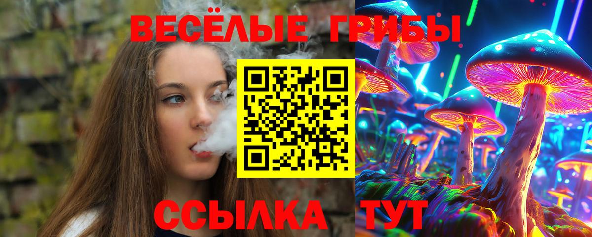 Псилоцибиновые грибы MAGIC MUSHROOMS  Вход с VPN  Кисловодск 